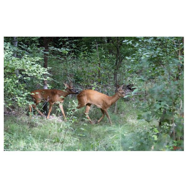 PHOTO84, CLUB, 84 , LUBERON